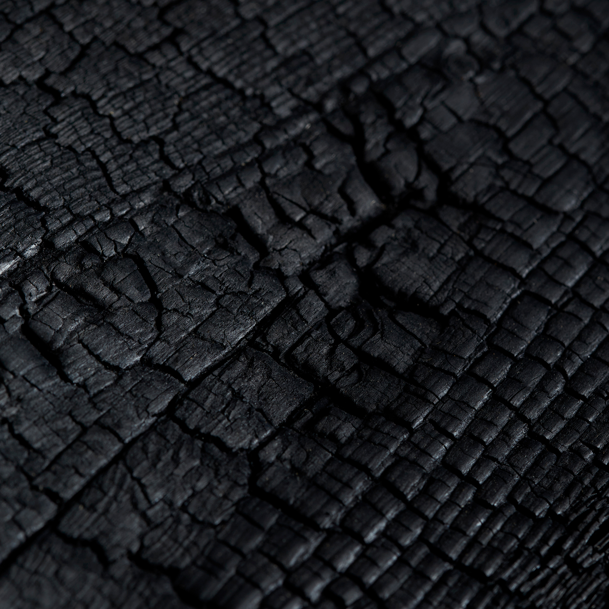 Deep Charred Siberian Larch Wood