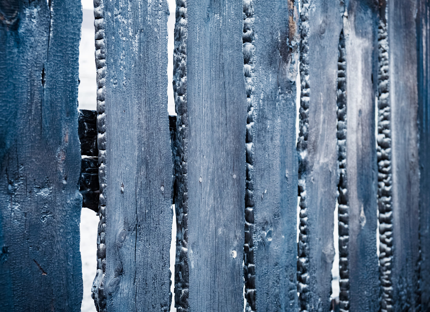 Deep Charred Fence Boards